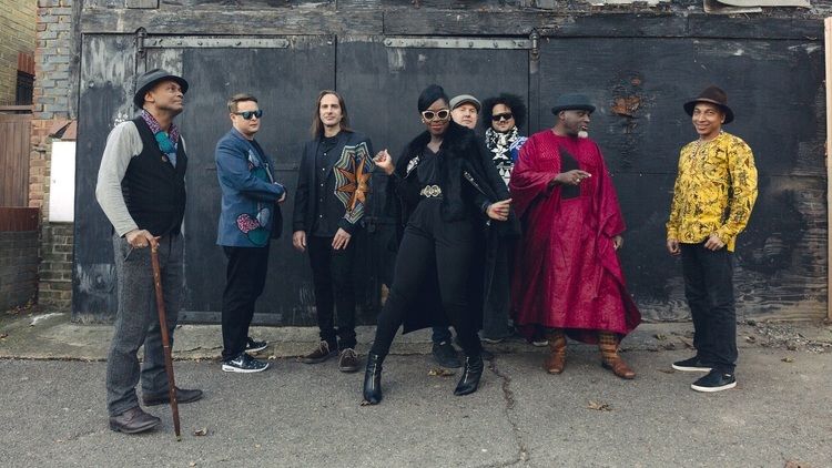 ibibiosoundmachine danwilton