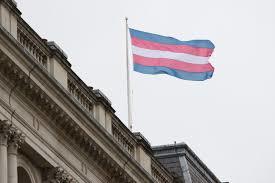 trans flag imhg
