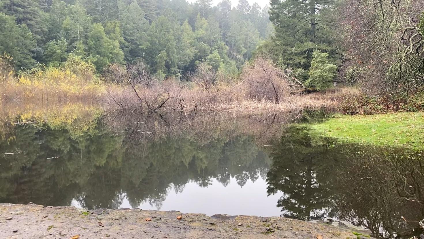 LondonLake 370BD70D JHines