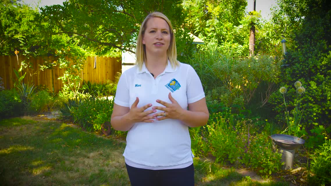 Drought Gardening Tips: Importance of Mulch