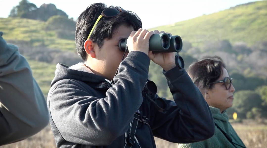 Winter Bird Observing with Alex Cho | Bay Area Bountiful