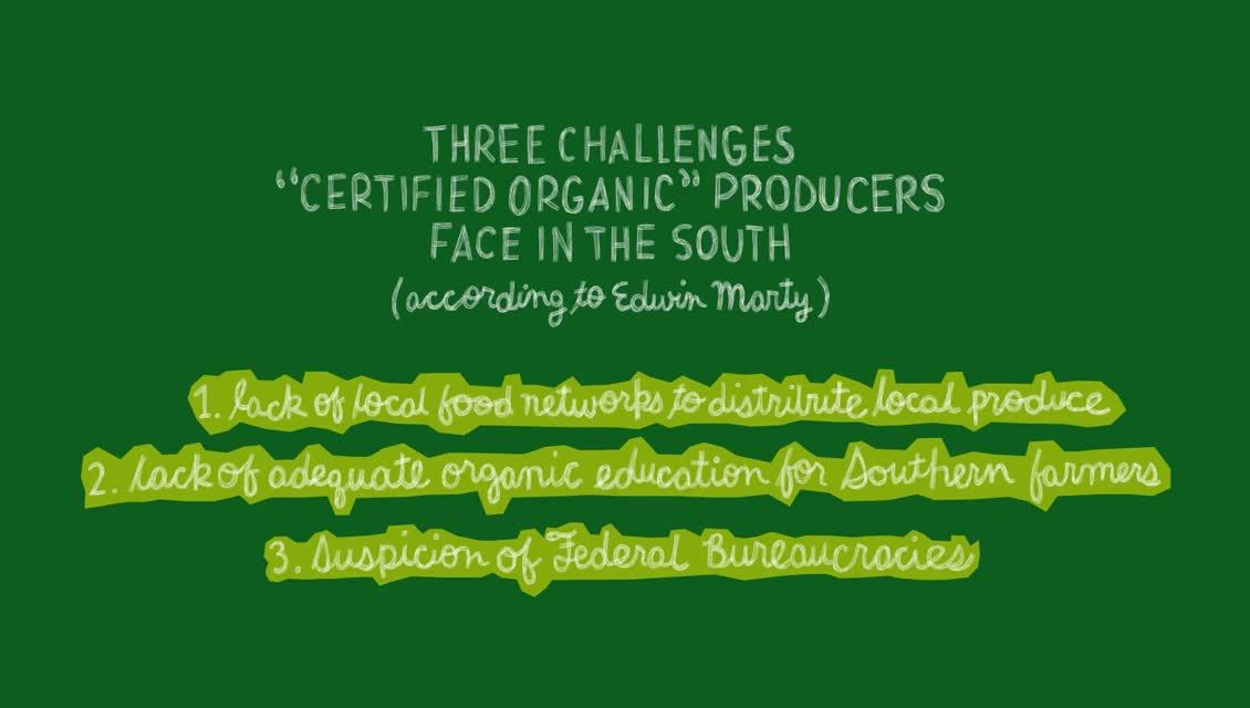 Lexicon of Sustainability - Local vs Organic