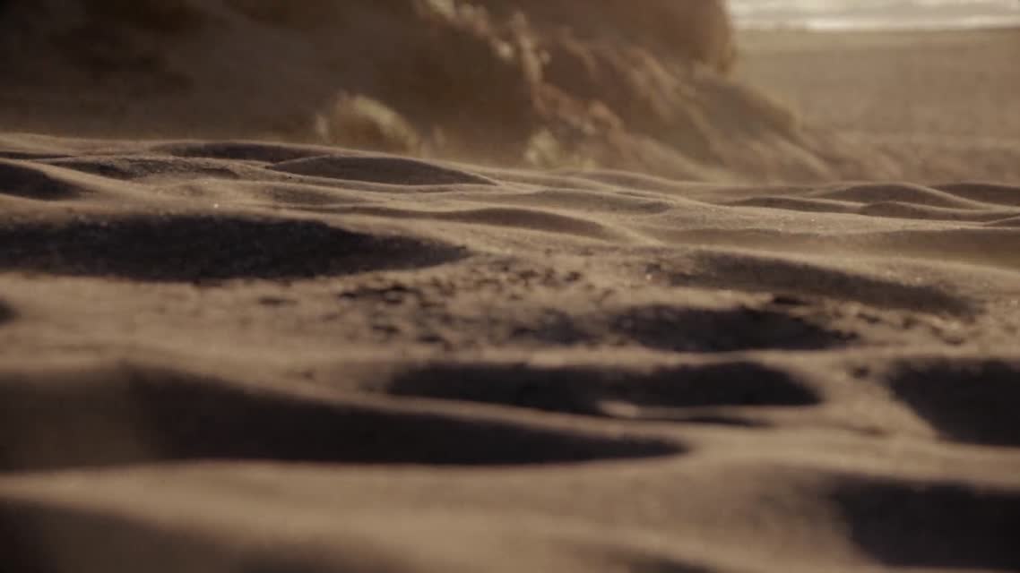 Bay Area Filmmaking - Northern California Public Media