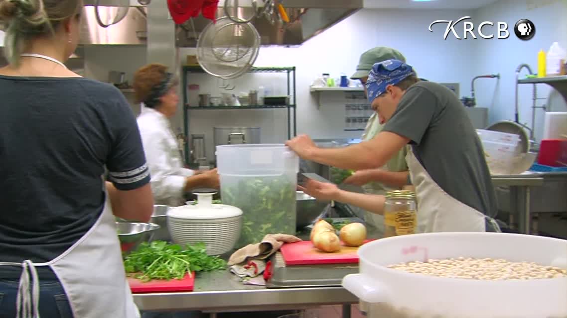 Understanding Food Systems