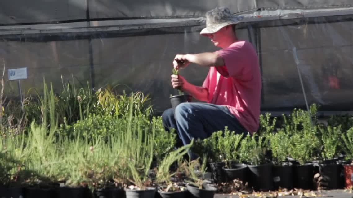 Plant Sales: Jail Industries Agriculture Program