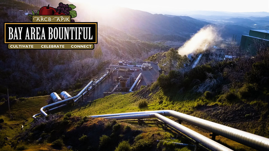 Bay Area Bountiful: Greener Power