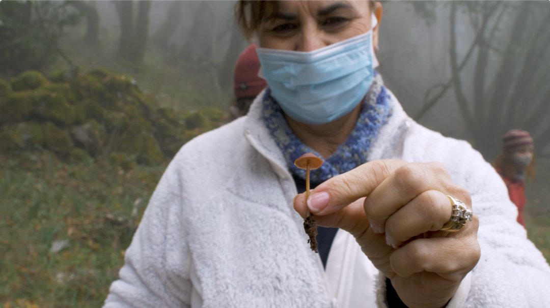 Finding Fungi in the Wintertime | Bay Area Bountiful