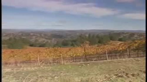 Rockpile Appellation