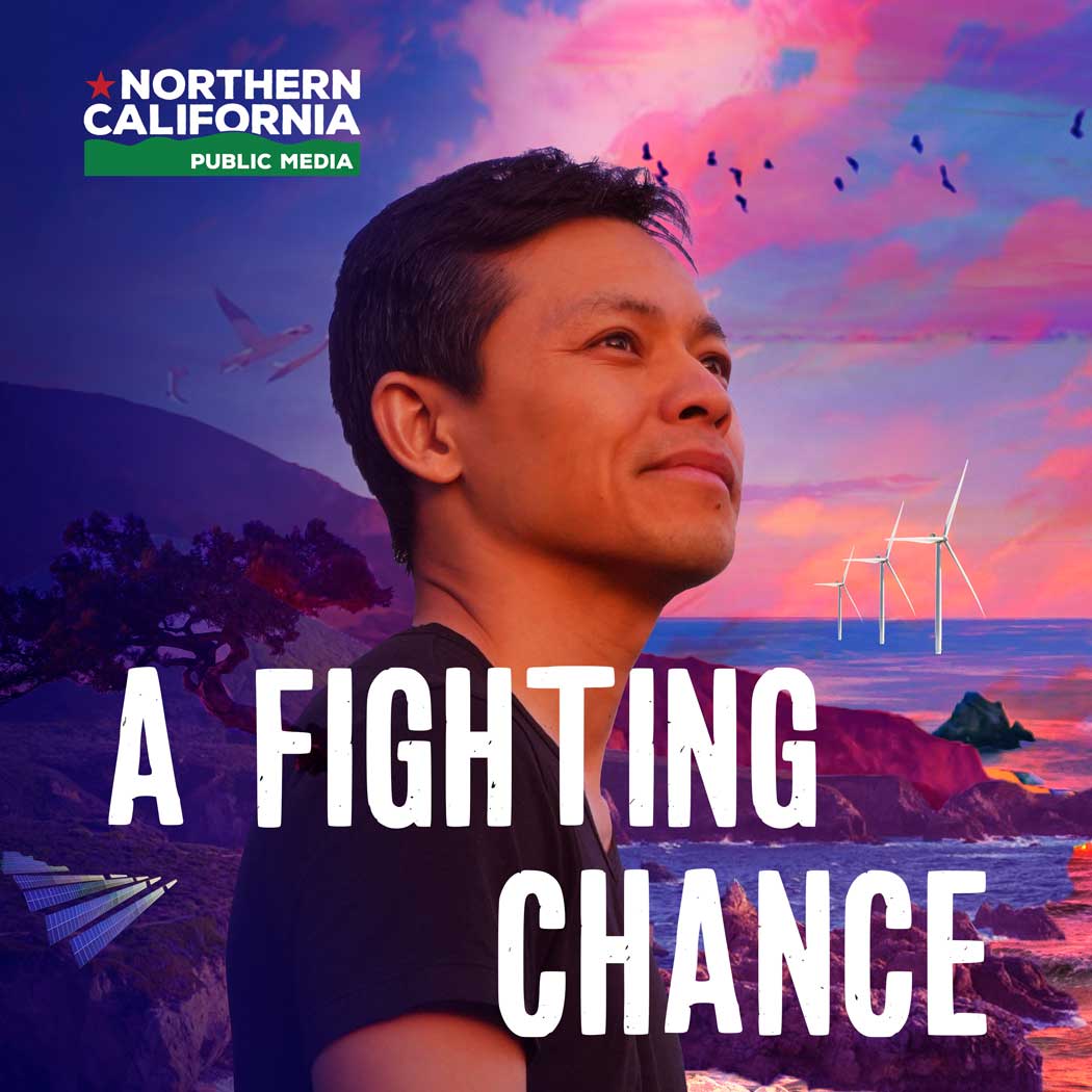 Introducing A Fighting Chance