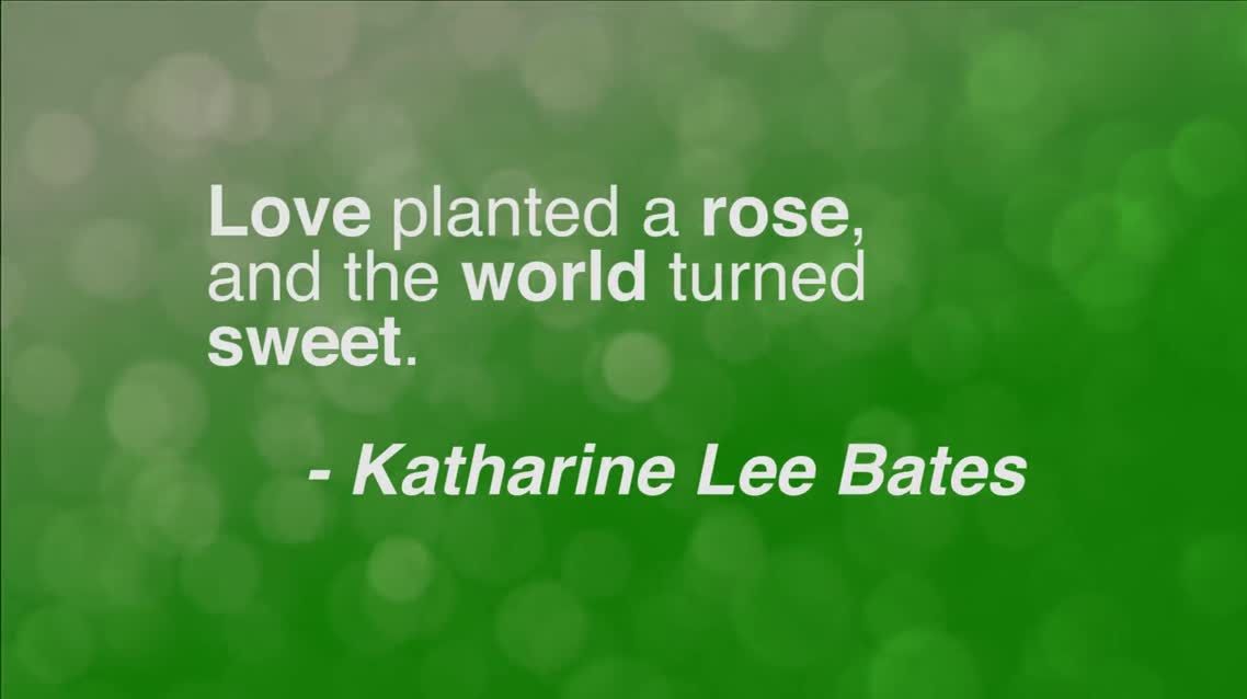 Love planted a rose
