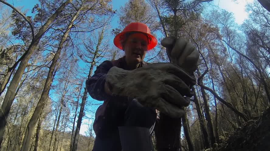 Bay Area Bountiful March 2021 Promo