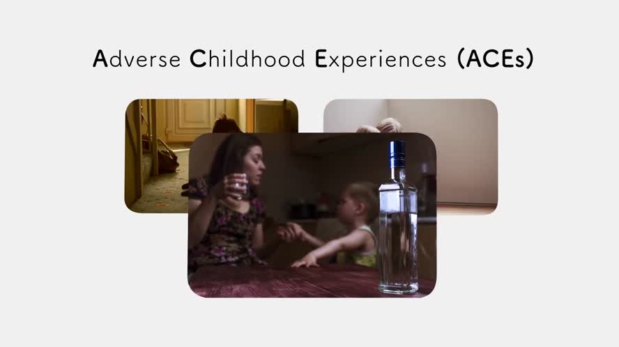 Wildfire & Youth Health