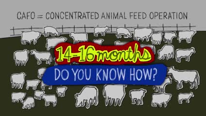 Lexicon of Sustainability - Grass Fed