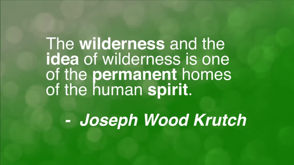 The wilderness and the idea