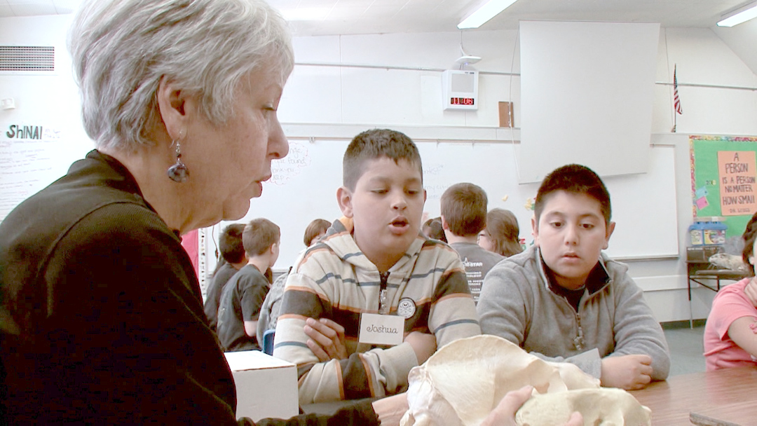 Environmental Volunteers