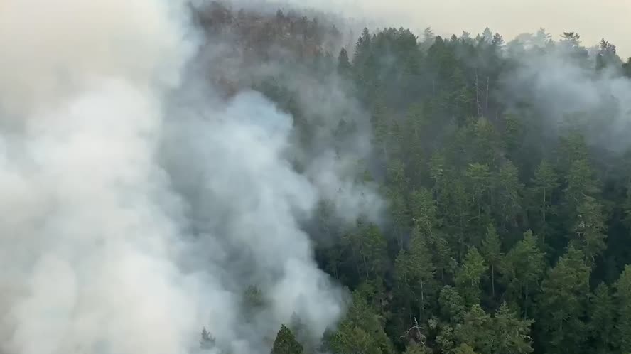 CALFIRE's battle with the CZU Lightning Complex Fires Short Story