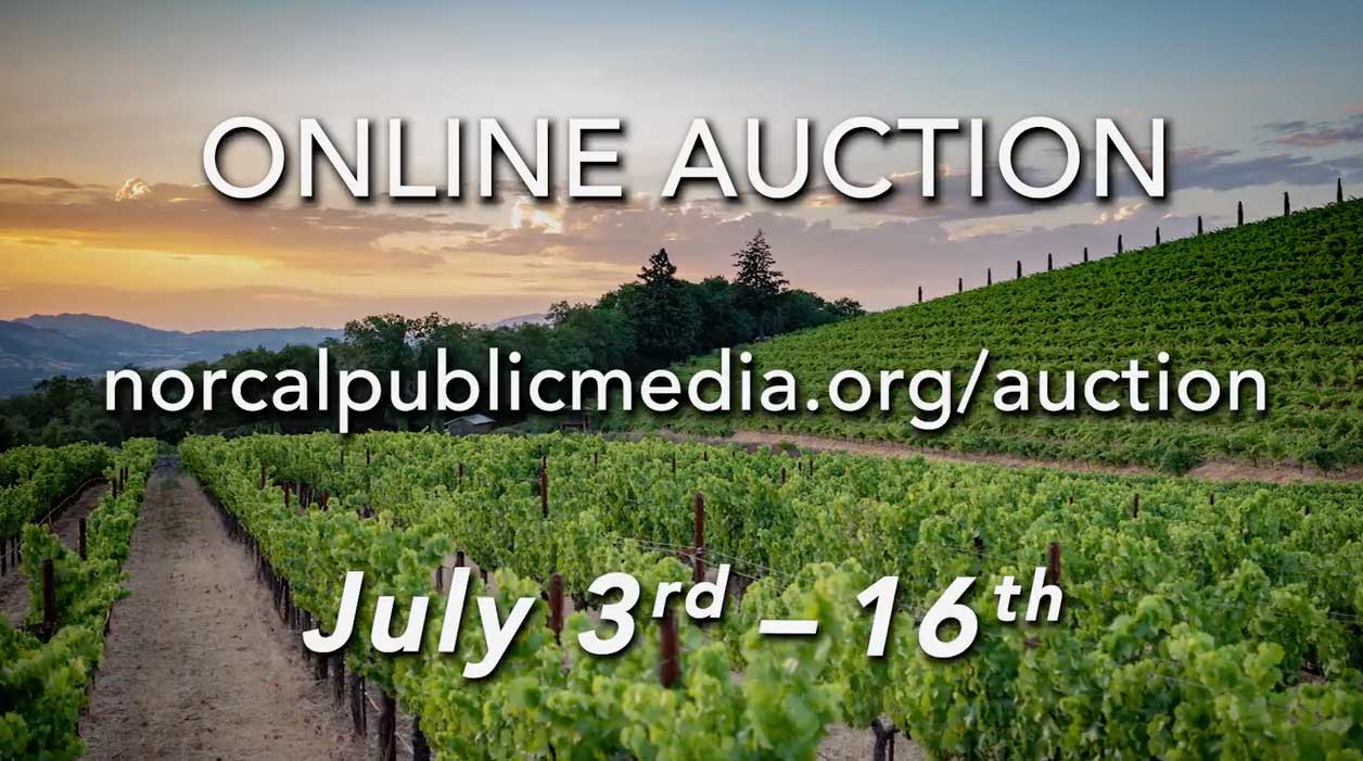 Wine & Leisure Auction 2023