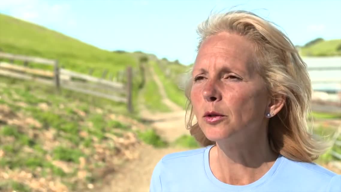 TaraFirma Farms: Farm Shorts